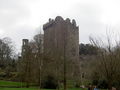 Irland 2008 36350630