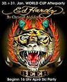 ED HARDY 68767558