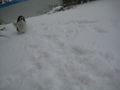 Der erste Schnee 2008!!! :) :) 49031960