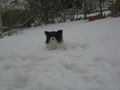 Der erste Schnee 2008!!! :) :) 49031999