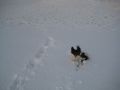 Der erste Schnee 2008!!! :) :) 49032073