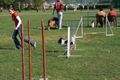 Agility- Training Mai 2009 58917610