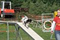 Agility- Training Mai 2009 58917676