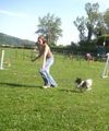 Agility- Training Mai 2009 59129633