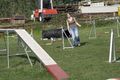 Agility- Training Mai 2009 59261338