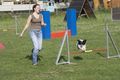 Agility- Training Mai 2009 59261339