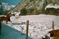 Tirol, Imst,Nassereit Winter 2005 36522395