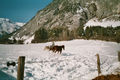 Tirol, Imst,Nassereit Winter 2005 36522413