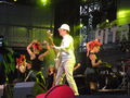 Donauinselfest 2009 62116094