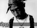 2PAC-MAKAVELI  36533568