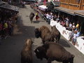 Pullman City Jun. 07 21803972