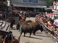 Pullman City Jun. 07 21803993