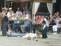 Pullman City 2008 40890504