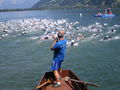 Triathlon - Zell am See 64210434