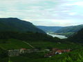 ...WaChAu-AuSfLuG... 64446458