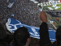 Schalke04 - Berlin live dabei! 49618200