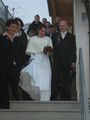 **Hochzeit** 66699517