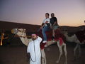 Desert Safari 52953723