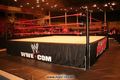 Wrestle Mania Raw Revenge Linz 36880161