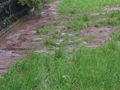 Hochwasser Wolfsbach!! 62056608