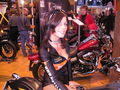 Motorradshow Designcenter Linz 2009 52599434