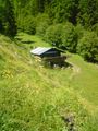 Wanderung auf unsre Alm 44525729