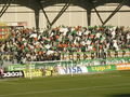SK Rapid Wien 36995977