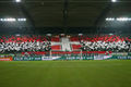 SK Rapid Wien 36995979