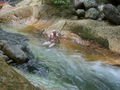 costa rica juni 07 55317076