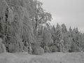 Winter 2005 -2006 39839377