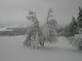 Winter 2005 -2006 39839487