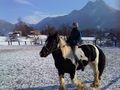 Reiten....xD 71005792