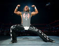 Shawn Michaels 45105890