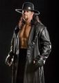 The Undertaker 47850106