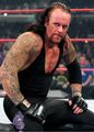 The Undertaker 47850113