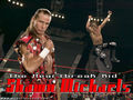 Shawn Michaels 47850936