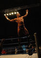 Randy Orton 49202494