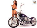 Hot Bikes with hot Chicks 66070213