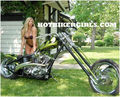 Hot Bikes with hot Chicks 66325185