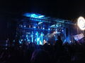 Donauinselfest 2008 44865228