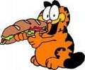 Garfield 38133851