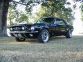 Mein Traum ein 67 Ford Mustang V8  50465105