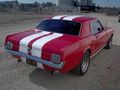 Mein Traum ein 67 Ford Mustang V8  50465110