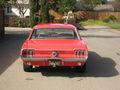 Mein Traum ein 67 Ford Mustang V8  56384036