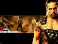 shawn michaels 70776225