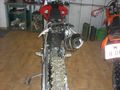 Motocross, Moped- es geht um ois ba uns 72758479