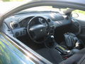 Mei Flitzer 39280081