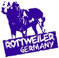 Rottweiler 46840299