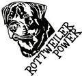 Rottweiler 46840321