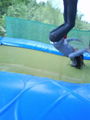 jojo..des shic' trampolin!!! (: 60581187